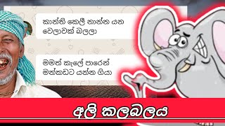 වියලි කලාපීය දිනපොත Episode 01  අලි කලබලය  Chat movie [upl. by Brok]