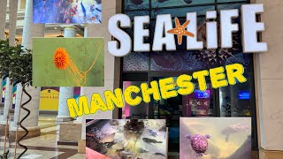 Sea Life Manchester Uk city complete 4K  tour Trafford Centre [upl. by Atteroc118]