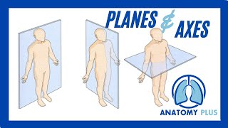 Planes of Motion amp Axes of Rotation [upl. by Tanney]