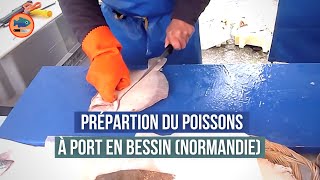 Préparation de Poissons à Port en Bessin Normandie [upl. by Katrina]