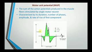 Electromyography EMG [upl. by Strage724]