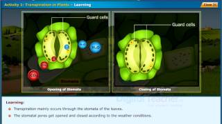 Transpiration in Plants Class 9 Biology  Digital Teacher [upl. by Eseerahs]