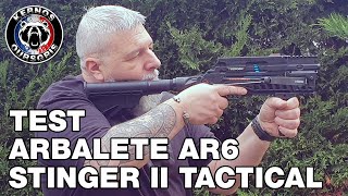 TETST DE LARBALETE STEAMBOW AR6 STINGER II TACTICAL [upl. by Shaya675]