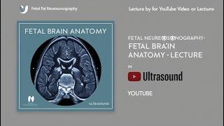 Fetal Brain Anatomy in Ultrasound [upl. by Ethelin]