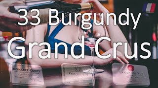 The 33 Famous Burgundy Grand Cru Names  Know Your Wines [upl. by Vergne607]