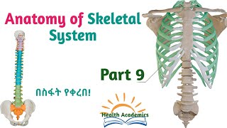 Anatomy of Skeletal System Sacrum Sternum amp Ribs Interesting Video with Amharic Speech Part 9 [upl. by Augusto]