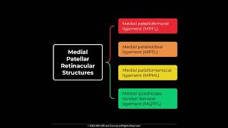 MPFL Medial Patellofemoral Ligament Anatomy MSKMRI JLEE [upl. by Fax]