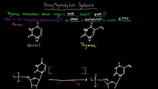 Deoxyribonucleotides and Deoxythymidylate Synthesis [upl. by Zumwalt]