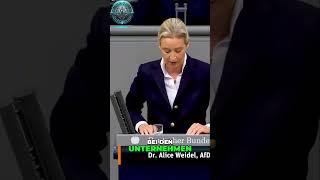 Sparen für Unternehmen Die Auswirkungen der AmpelKoalition in Deutschland [upl. by Nolrah257]