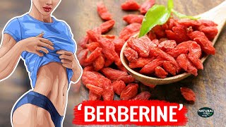 Berberine A Powerful Supplement With Amazing Benefits [upl. by Lohcin]