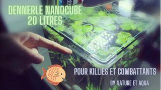 Aquarium Dennerle Nanocube 20 litres  Pour poissons combattants et Killies [upl. by Odicalp]