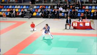 Yoseikan Budo FranceItalie Katawmv [upl. by Malinde957]