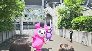 TWICE Lovelys Movely x Savely Waving Goodbye at Ajinomoto Stadium RTB Special Tokyo Japan 2024 [upl. by Ron]