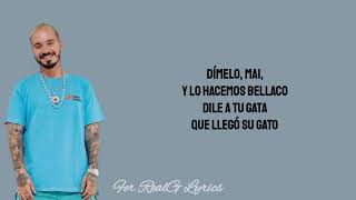 J Balvin Ft Bad Gyal  Gato Letra  Rayo⚡ [upl. by Cranston]