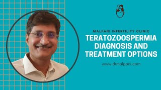 Teratozoospermia  Meaning Diagnosis and Treatment options  Male infertility [upl. by Brechtel]