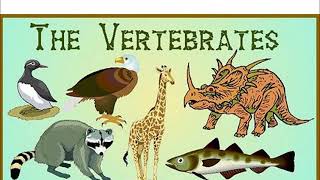 Year 3 The vertebrates song [upl. by Romain]