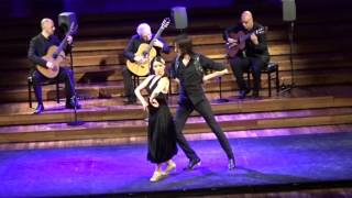 Flamenco at Palau de la Musica Catalana Barcelona 2017 [upl. by Epilihp]