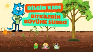 Bilgin Kedi İle Bitkilerin Büyüme Süreci  Çocuklar İçin Eğitici Video [upl. by Orimisac]