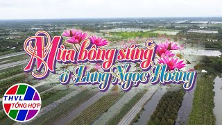 Nhịp sống đồng bằng Mùa bông súng ở Lung Ngọc Hoàng [upl. by Ludovika202]