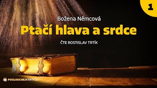 Božena Němcová Ptačí hlava a srdce 14 [upl. by Michelsen351]