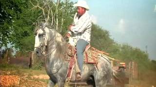 Banda Estrellas de Sinaloa  El Palo Verde VIDEO OFICIAL [upl. by Onaled116]