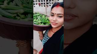 kisko kisko bhindi pasand hai ytsunitavlogs shortvideo viral reelsvideo [upl. by Ise351]