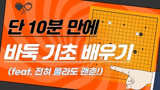 바둑 입문 1 단 10분 만에 바둑의 기초 배우기 [upl. by Magnus749]