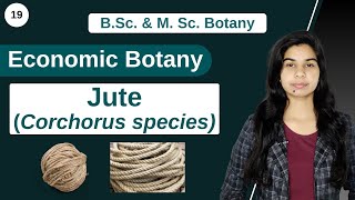 Economic Botany  Jute Corchorus species  B Sc amp M Sc [upl. by Harriette]