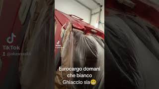 Eurocargo domani che bianco Ghiaccio sia😁 [upl. by Atled]