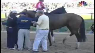 Barbaro Injury Preakness Stakes May 20 2006 [upl. by Anyehs104]