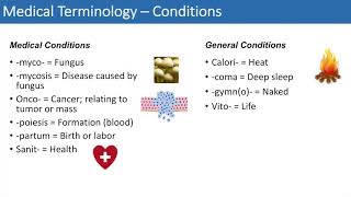 Medical Terminology  The Basics  Lesson 4 [upl. by Irma]