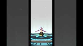 Shiny Pumpkaboo Evolves into Shiny Gourgeist  Pokemon GO [upl. by Adnola565]