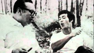 LES MAITRES DU REGARD  BRUCE LEE ET LE CINEMA DARTS MARTIAUX [upl. by Bent]