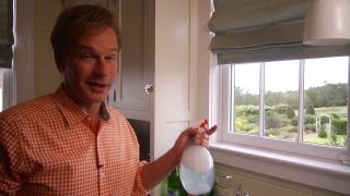 Homemade Window Cleaner  At Home With P Allen Smith [upl. by Jesher]