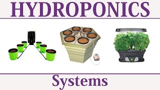 Best Hydroponics Systems [upl. by Yllim884]