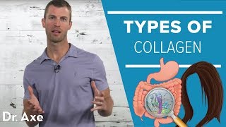 Types of Collagen with Jordan Rubin [upl. by Nova]