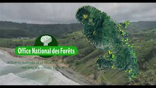 Action de reconquête de la Forêt Domaniale Littorale en Martinique 19882018 [upl. by Ahsiakal]