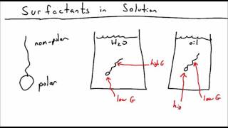 Introduction to Surfactants [upl. by Nomead233]