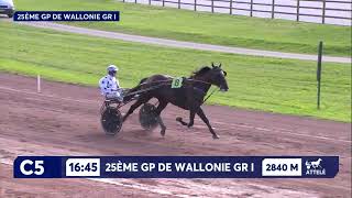 HWM 21 09 2024 C 05 GRAND PRIX DE WALLONIE 2024 [upl. by Leanahtan]