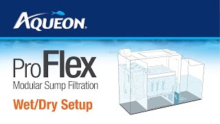 Aqueon  ProFlex  Modular Sump Filtration WetDry Set Up Instructions [upl. by Enohpets]