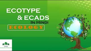 Ecotypes and Ecads  Population ecology in hindi [upl. by Ahrat]