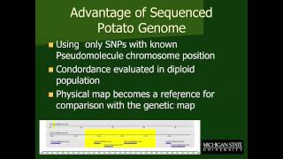 How to Develop SNPbased Tetraploid Maps for Potato [upl. by Aicemed]