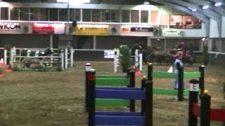 Denekamp 2014 Eric Mulder euregio mennen 4 span Ponys [upl. by Isayg]