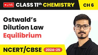 Ostwald’s Dilution Law  Equilibrium  Class 11 Chemistry Chapter 6  CBSE 202425 live [upl. by Ameekahs]