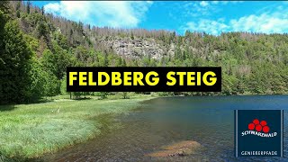 PREMIUMWANDERUNG quotFeldberg Steigquot  der Höchste im Schwarzwald [upl. by Aikram327]