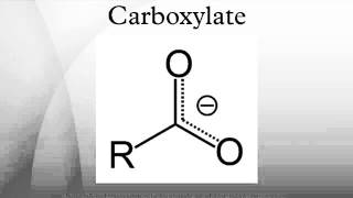 Carboxylate [upl. by Tnilc]