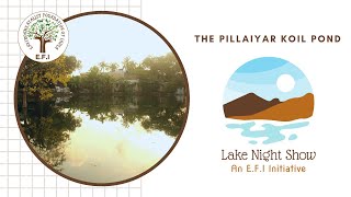 EFIs Lake Night Show Pallikaranai Pillayar Koil Pond [upl. by Philbo]