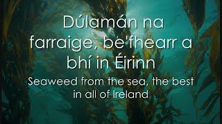 Dúlamán  LYRICS  Translation  Celtic Woman [upl. by Pelagias148]