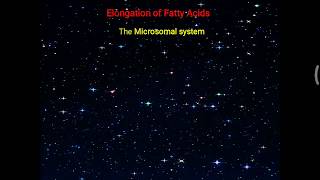 Elongation and desaturation of Fatty acid  Arachidonic Acid formation [upl. by Opportina42]