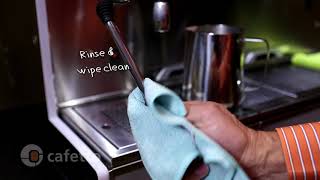 How to clean your Professional Espresso Machine with Cafetto [upl. by Solrak]